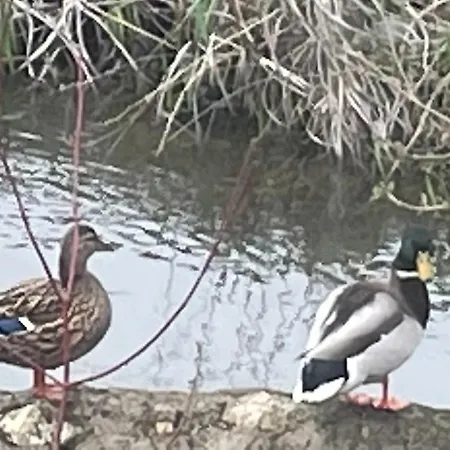 Logis Des Brousses Nocleg ze śniadaniem Lhommaize